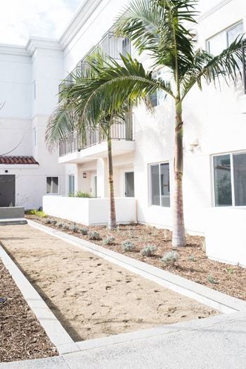 A white house with a palm tree in front.